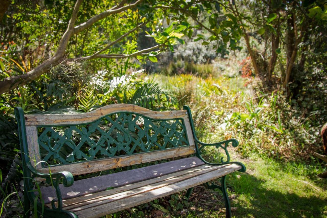 Pear Tree Cottage Стормсрівер Екстер'єр фото